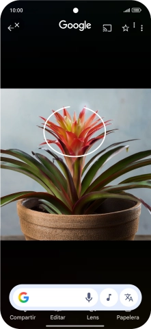 Rodea con un círculo el elemento deseado de la fotografía y espera a que aparezcan los resultados de búsqueda. Rodea con un círculo el elemento deseado de la fotografía y espera a que aparezcan los resultados de búsqueda.