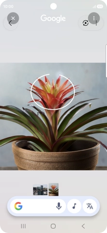 Rodea con un círculo el elemento deseado de la fotografía y espera a que aparezcan los resultados de búsqueda. Rodea con un círculo el elemento deseado de la fotografía y espera a que aparezcan los resultados de búsqueda.