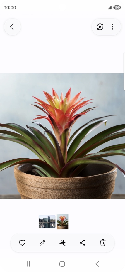 Desplázate a la fotografía deseada. Desplázate a la fotografía deseada.