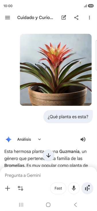 Sigue las indicaciones de la pantalla para escribir o decir en alto la pregunta deseada. Puedes adjuntar fotografías o documentos y hacer preguntas acerca de ellos. Sigue las indicaciones de la pantalla para escribir o decir en alto la pregunta deseada. Puedes adjuntar fotografías o documentos y hacer preguntas acerca de ellos.