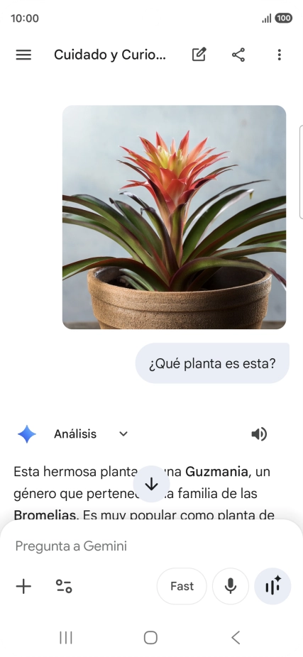 Sigue las indicaciones de la pantalla para escribir o decir en alto la pregunta deseada. Puedes adjuntar fotografías o documentos y hacer preguntas acerca de ellos. Sigue las indicaciones de la pantalla para escribir o decir en alto la pregunta deseada. Puedes adjuntar fotografías o documentos y hacer preguntas acerca de ellos.