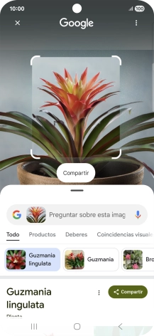 Sigue las indicaciones de la pantalla para utilizar los resultados de búsqueda. Sigue las indicaciones de la pantalla para utilizar los resultados de búsqueda.