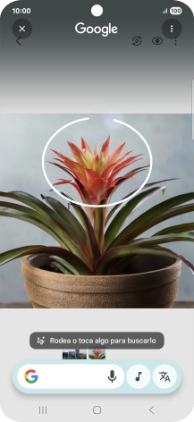 Rodea con un círculo el elemento deseado de la fotografía y espera a que aparezcan los resultados de búsqueda. Rodea con un círculo el elemento deseado de la fotografía y espera a que aparezcan los resultados de búsqueda.