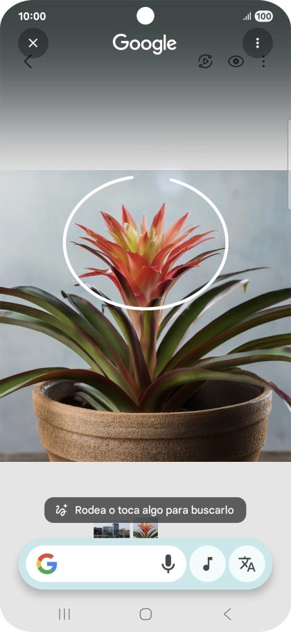 Rodea con un círculo el elemento deseado de la fotografía y espera a que aparezcan los resultados de búsqueda. Rodea con un círculo el elemento deseado de la fotografía y espera a que aparezcan los resultados de búsqueda.