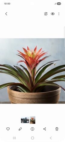 Desplázate a la fotografía deseada. Desplázate a la fotografía deseada.