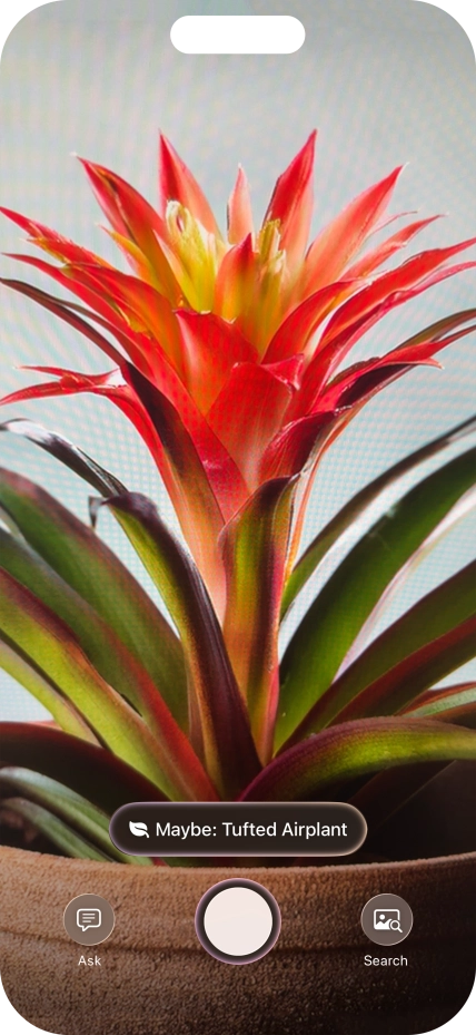 For information about animals and plants, press the information field. For information about animals and plants, press the information field.