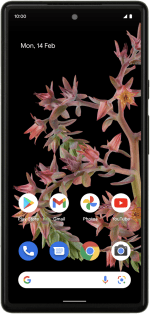 Google Pixel 6