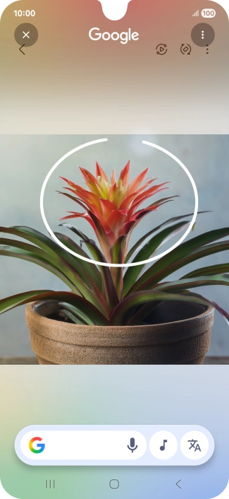 Draw a circle around the required object on the picture and wait for the search results. Draw a circle around the required object on the picture and wait for the search results.