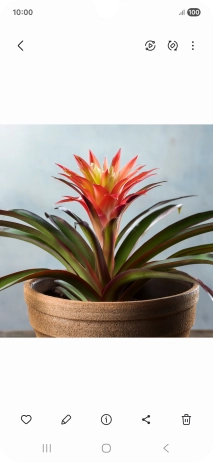 Go to the required picture. Go to the required picture.