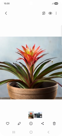 Go to the required picture. Go to the required picture.