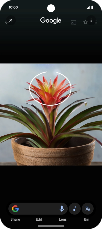 Draw a circle around the required object on the picture and wait for the search results. Draw a circle around the required object on the picture and wait for the search results.