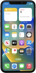 Apple iPhone X