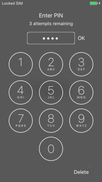 Key in your PIN and press OK. Key in your PIN and press OK.