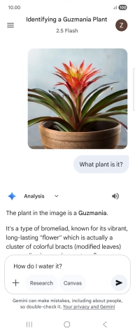 Follow the instructions on the screen to type or speak more questions to continue the conversation. Follow the instructions on the screen to type or speak more questions to continue the conversation.