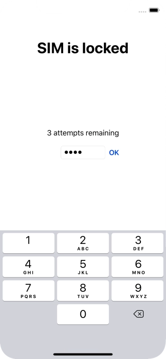 Key in your PIN and press OK. Key in your PIN and press OK.