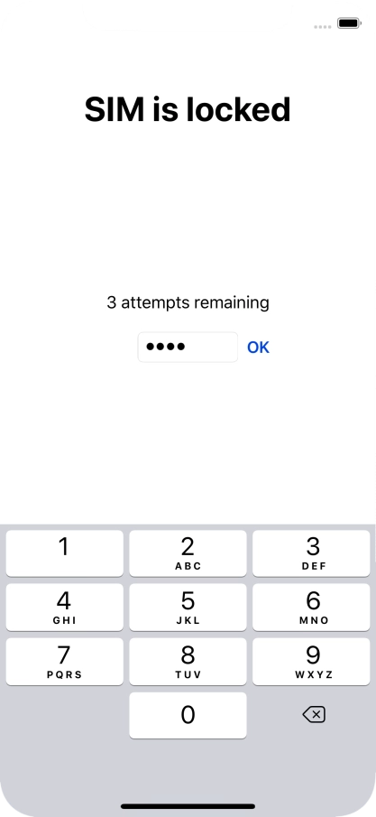 Key in your PIN and press OK. Key in your PIN and press OK.