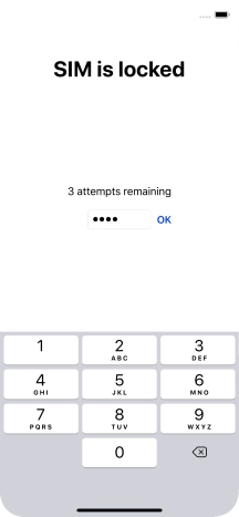 Key in your PIN and press OK. Key in your PIN and press OK.