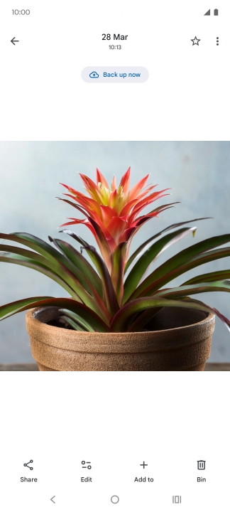 Go to the required picture. Go to the required picture.