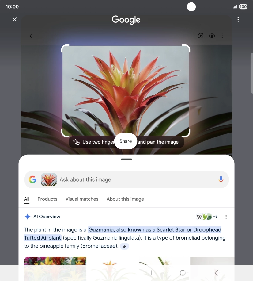 Follow the instructions on the screen to use the search results. Follow the instructions on the screen to use the search results.