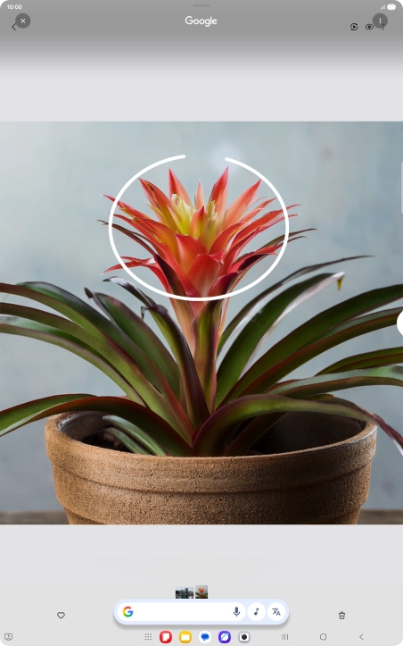 Draw a circle around the required object on the picture and wait for the search results. Draw a circle around the required object on the picture and wait for the search results.