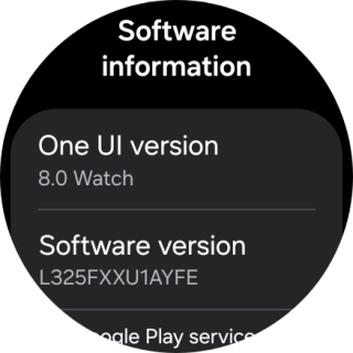 The software version of your smartwatch is displayed below Software information. The software version of your smartwatch is displayed below Software information.