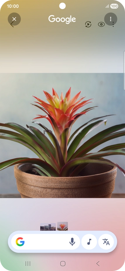 Draw a circle around the required object on the picture and wait for the search results. Draw a circle around the required object on the picture and wait for the search results.