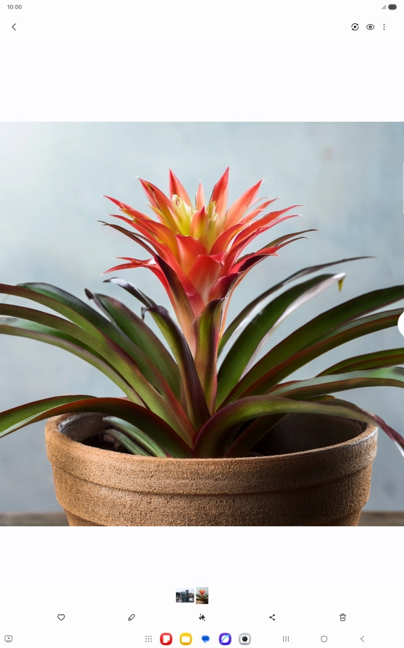 Go to the required picture. Go to the required picture.