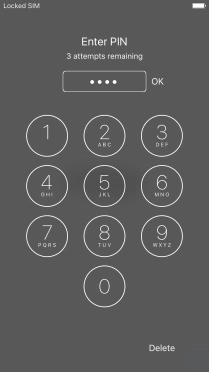 Key in your PIN and press OK. Key in your PIN and press OK.