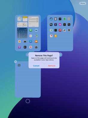 Press Remove. Press Remove.
