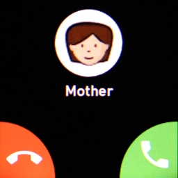Press the accept call icon. Press the accept call icon.