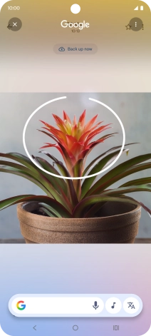 Draw a circle around the required object on the picture and wait for the search results. Draw a circle around the required object on the picture and wait for the search results.