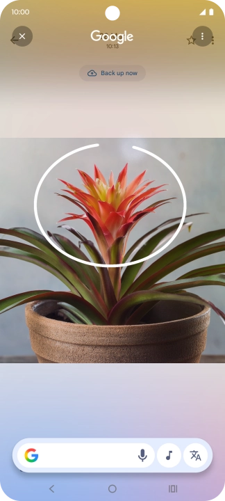 Draw a circle around the required object on the picture and wait for the search results. Draw a circle around the required object on the picture and wait for the search results.