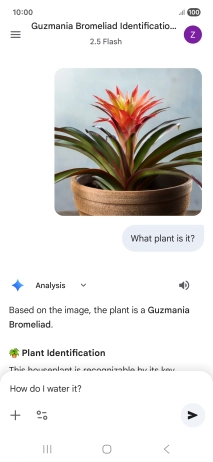 Follow the instructions on the screen to type or speak more questions to continue the conversation. Follow the instructions on the screen to type or speak more questions to continue the conversation.