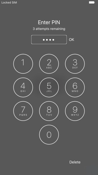 Key in your PIN and press OK. Key in your PIN and press OK.