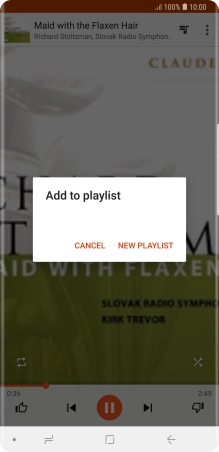 Press NEW PLAYLIST. Press NEW PLAYLIST.