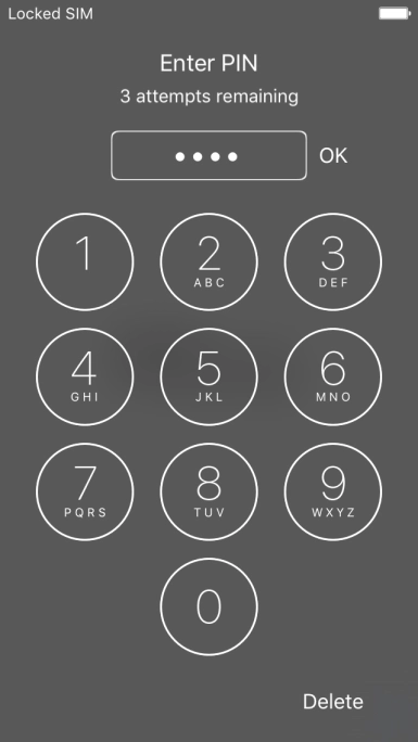 Key in your PIN and press OK. Key in your PIN and press OK.