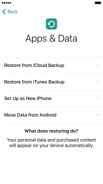 Press Restore from iCloud Backup. Press Restore from iCloud Backup.
