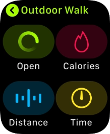 Press the Digital Crown several times to return to the main menu. Press the Digital Crown several times to return to the main menu.