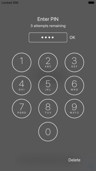 Key in your PIN and press OK. Key in your PIN and press OK.
