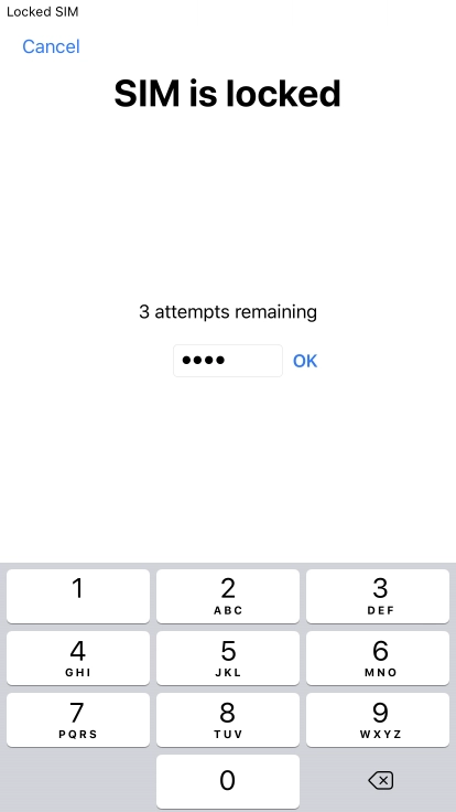 If your SIM is locked, key in your PIN and press OK. If your SIM is locked, key in your PIN and press OK.
