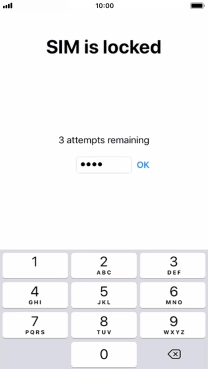 Key in your PIN and press OK. Key in your PIN and press OK.