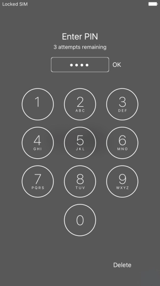 Key in your PIN and press OK. Key in your PIN and press OK.