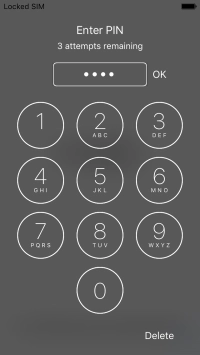 Key in your PIN and press OK. Key in your PIN and press OK.