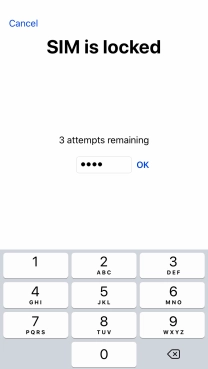 If your SIM is locked, key in your PIN and press OK. If your SIM is locked, key in your PIN and press OK.