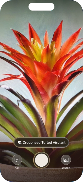 For information about animals and plants, press the information field. For information about animals and plants, press the information field.