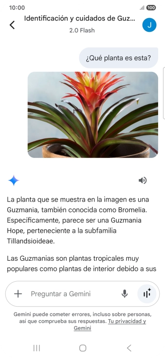 Sigue las indicaciones de la pantalla para escribir o decir en alto la pregunta deseada. Puedes adjuntar fotografías o documentos y hacer preguntas acerca de ellos. Sigue las indicaciones de la pantalla para escribir o decir en alto la pregunta deseada. Puedes adjuntar fotografías o documentos y hacer preguntas acerca de ellos.