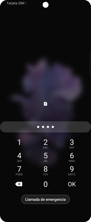 Si lo solicita el teléfono, introduce el código PIN y pulsa OK. Si lo solicita el teléfono, introduce el código PIN y pulsa OK.