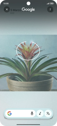 Rodea con un círculo el elemento deseado de la fotografía y espera a que aparezcan los resultados de búsqueda. Rodea con un círculo el elemento deseado de la fotografía y espera a que aparezcan los resultados de búsqueda.