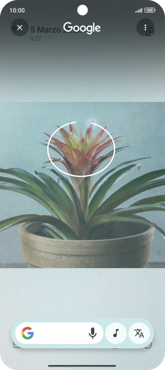 Rodea con un círculo el elemento deseado de la fotografía y espera a que aparezcan los resultados de búsqueda. Rodea con un círculo el elemento deseado de la fotografía y espera a que aparezcan los resultados de búsqueda.