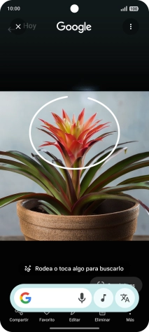 Rodea con un círculo el elemento deseado de la fotografía y espera a que aparezcan los resultados de búsqueda. Rodea con un círculo el elemento deseado de la fotografía y espera a que aparezcan los resultados de búsqueda.